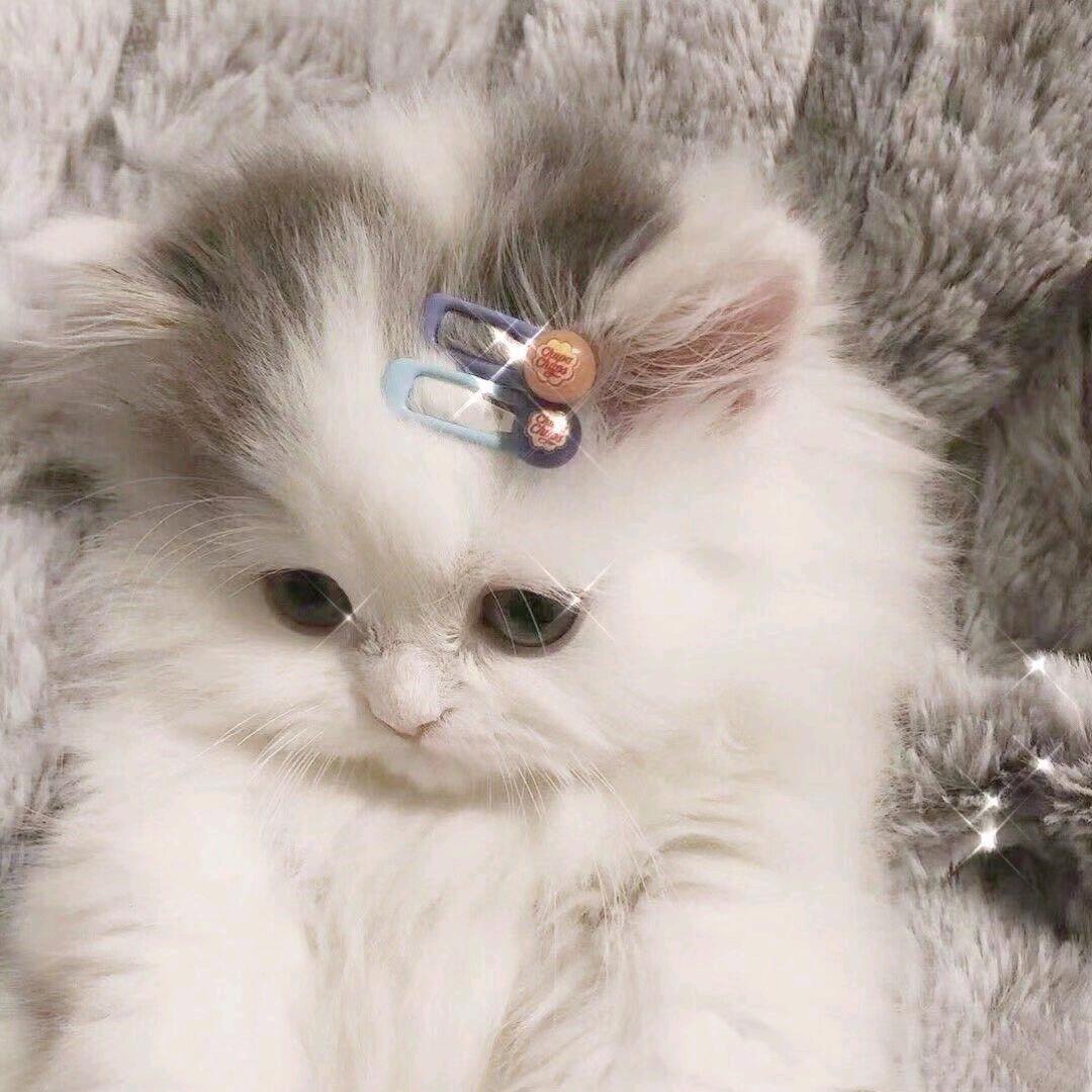 @  清静就对了  @