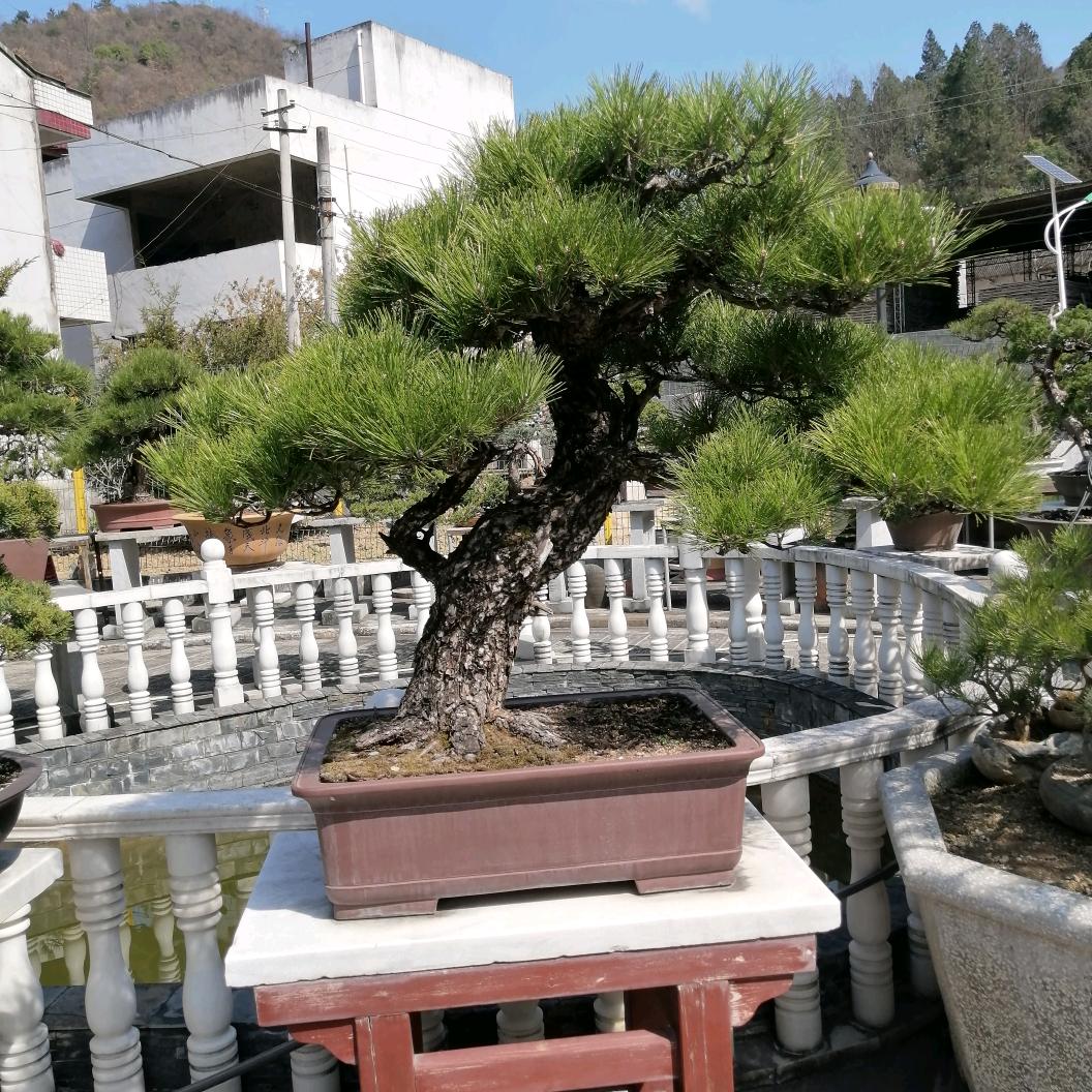 富贵〈镇安方言〉