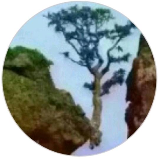晚风吹吹