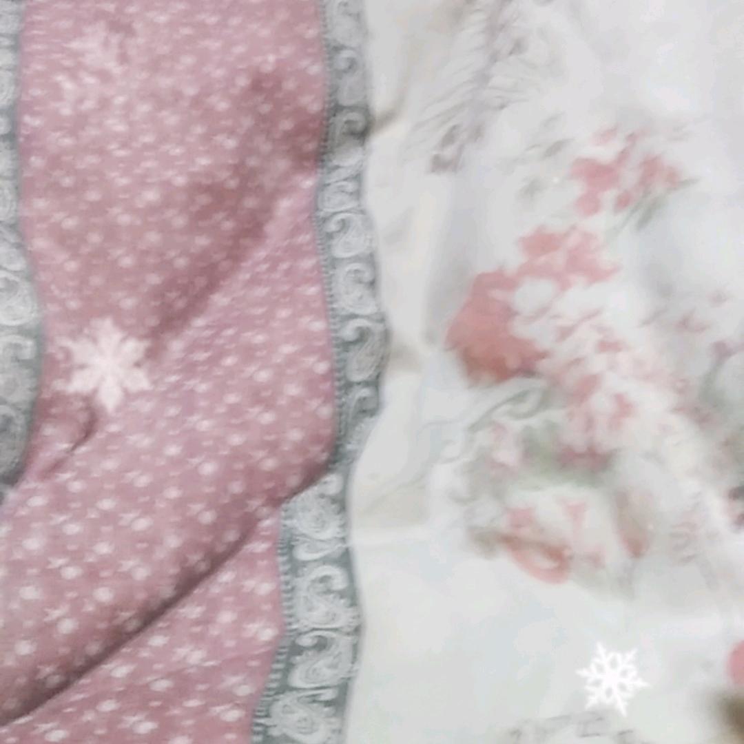 自由飞翔