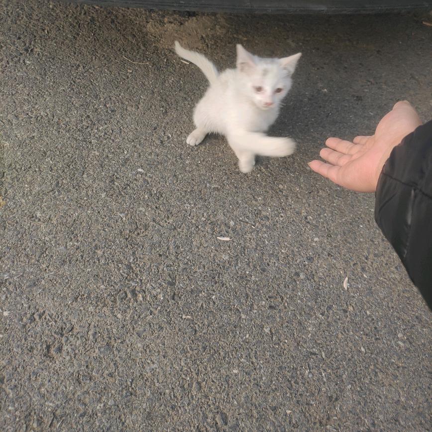 L。