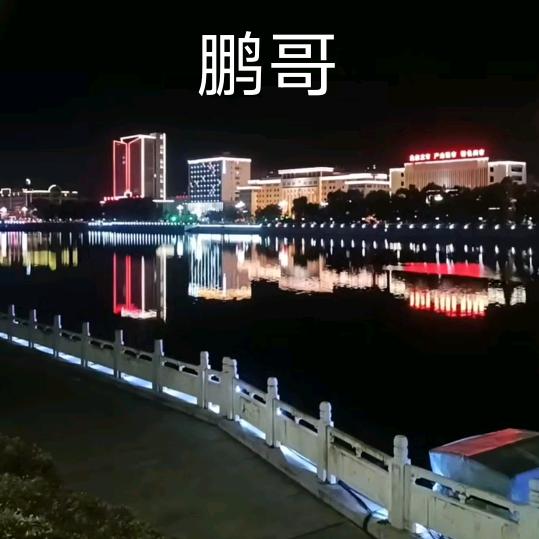 鹏哥