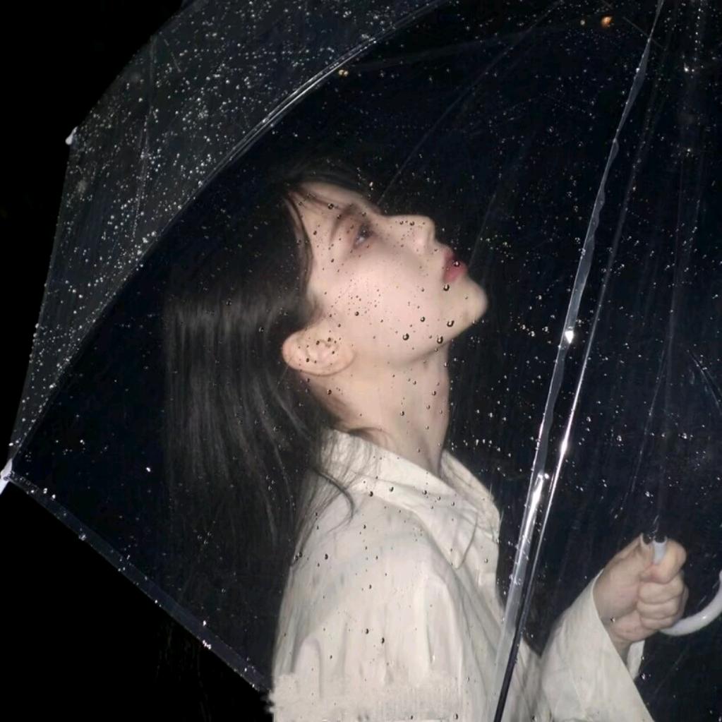 小李不理