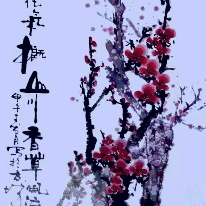 心追远方