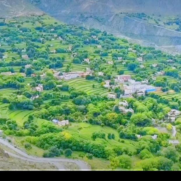 🌴你算老几啊⚡     教我做事🔥