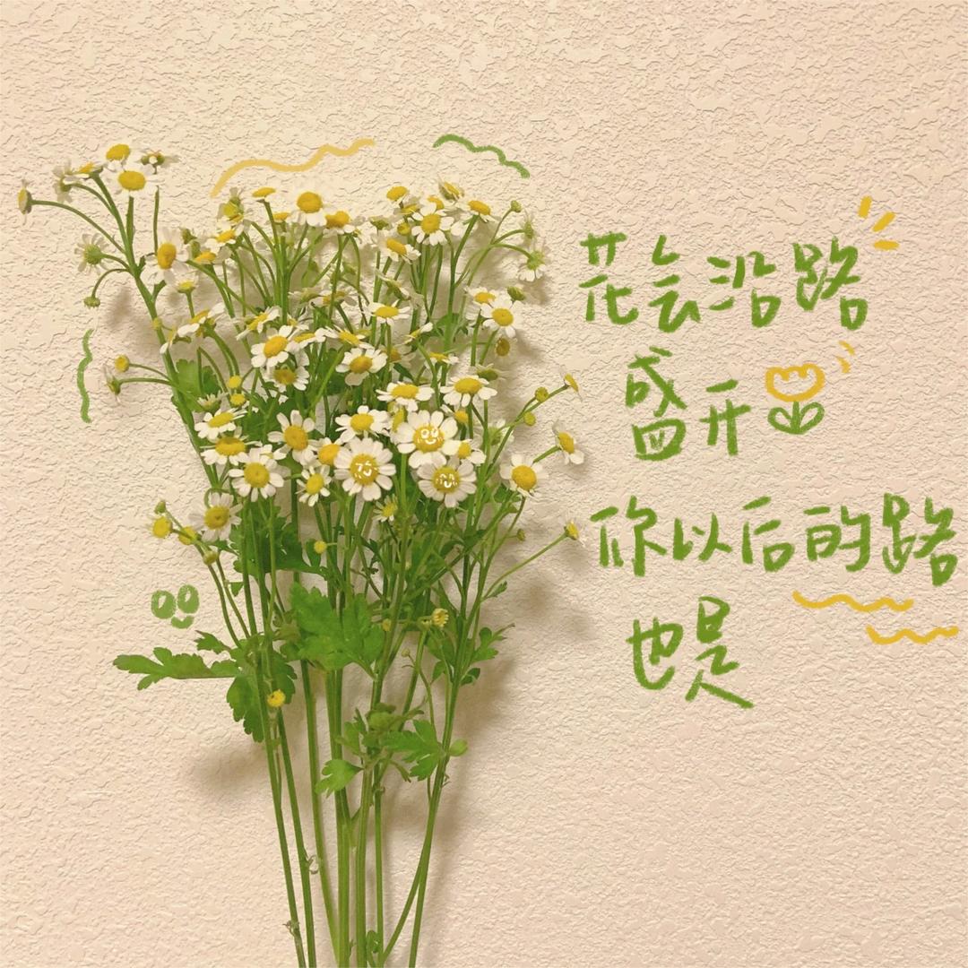 歲月靜好