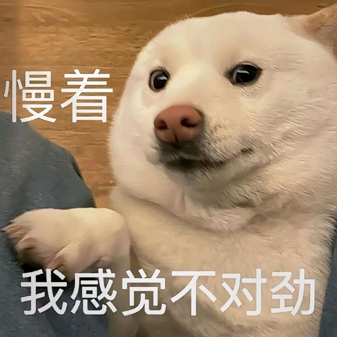 jay
