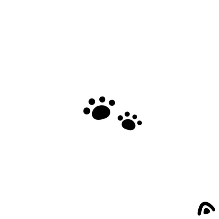 空白