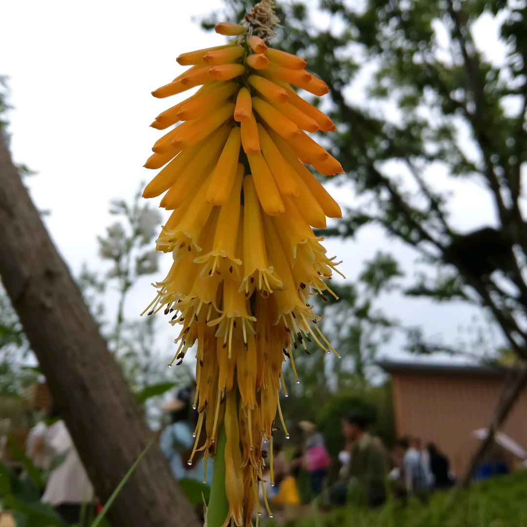 瑶海光辉