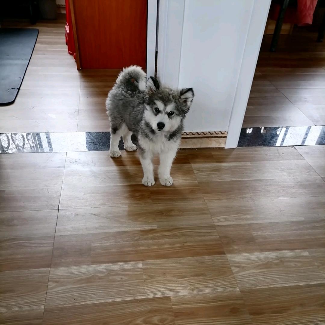 沐阳✔