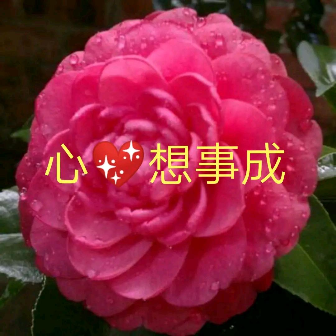 心💖想事成