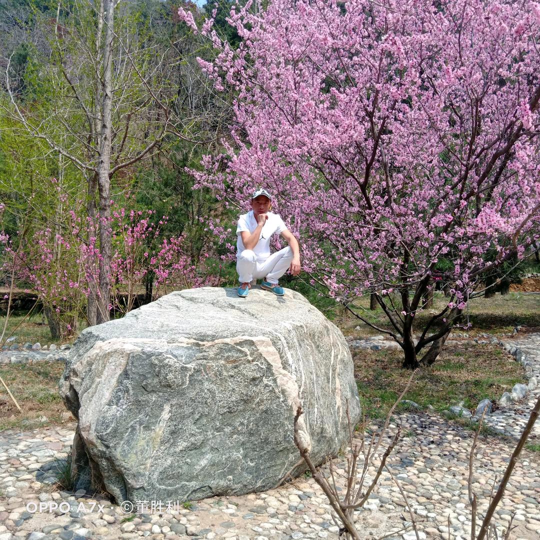 炮哥💝💝幸运相随💘💘