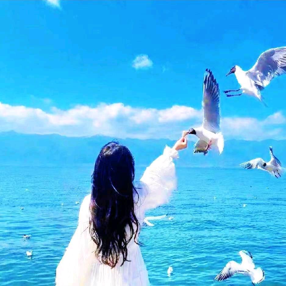 水云间ᥫᩣ🕊