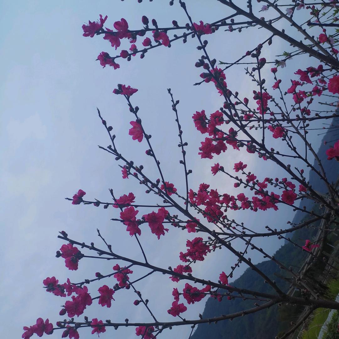 风风雨雨不知道为谁