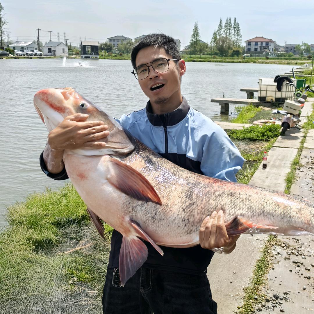 阿乐🎣钓鱼