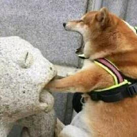 麻瓜