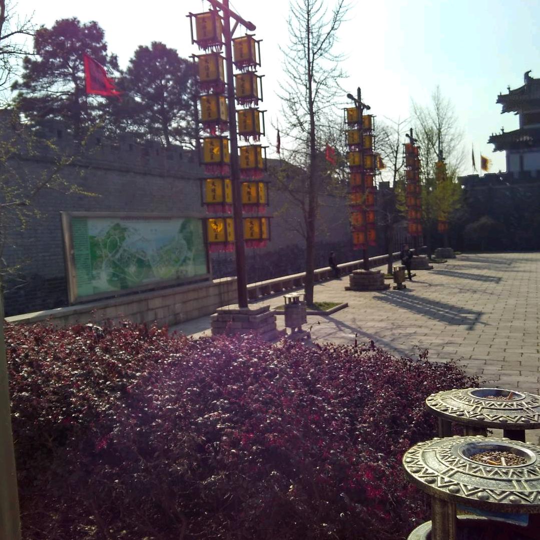 信不信由你
