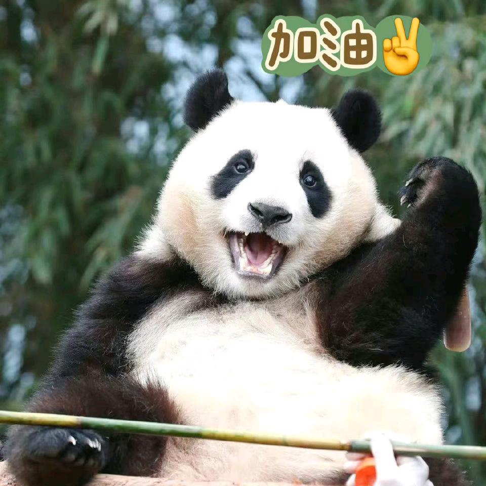 青年扎根基层✨