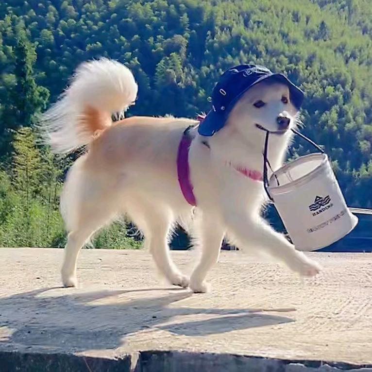 一脸问号
