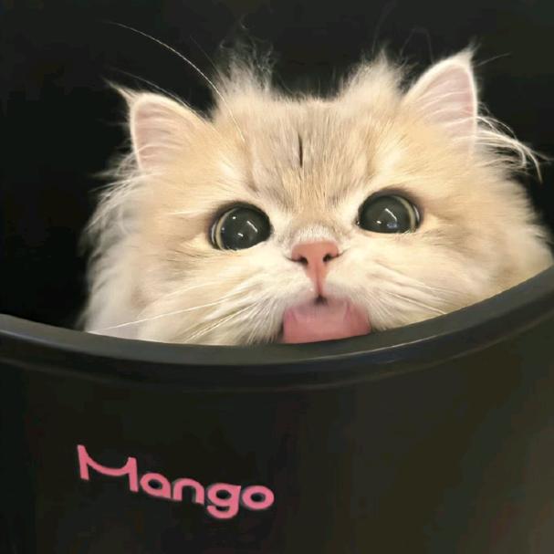 温温温温温温🐾
