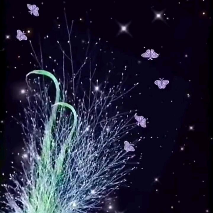 杨小杨88614🌿