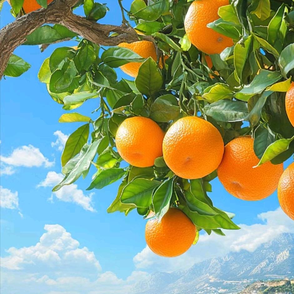 林姐姐丫～
