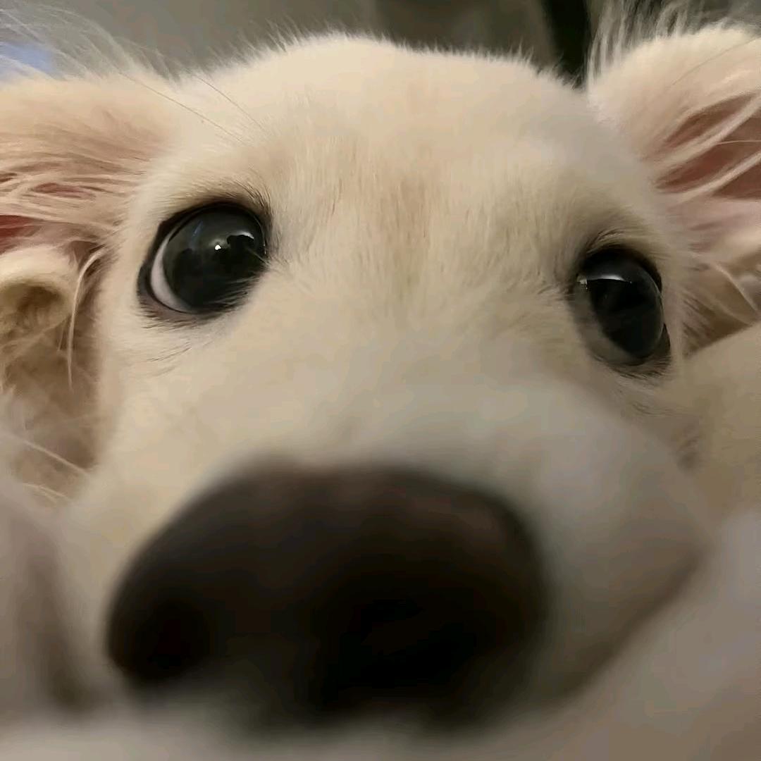 失物招領.