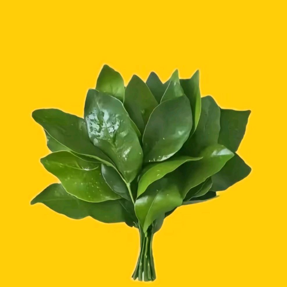 闲看花开*静听雨