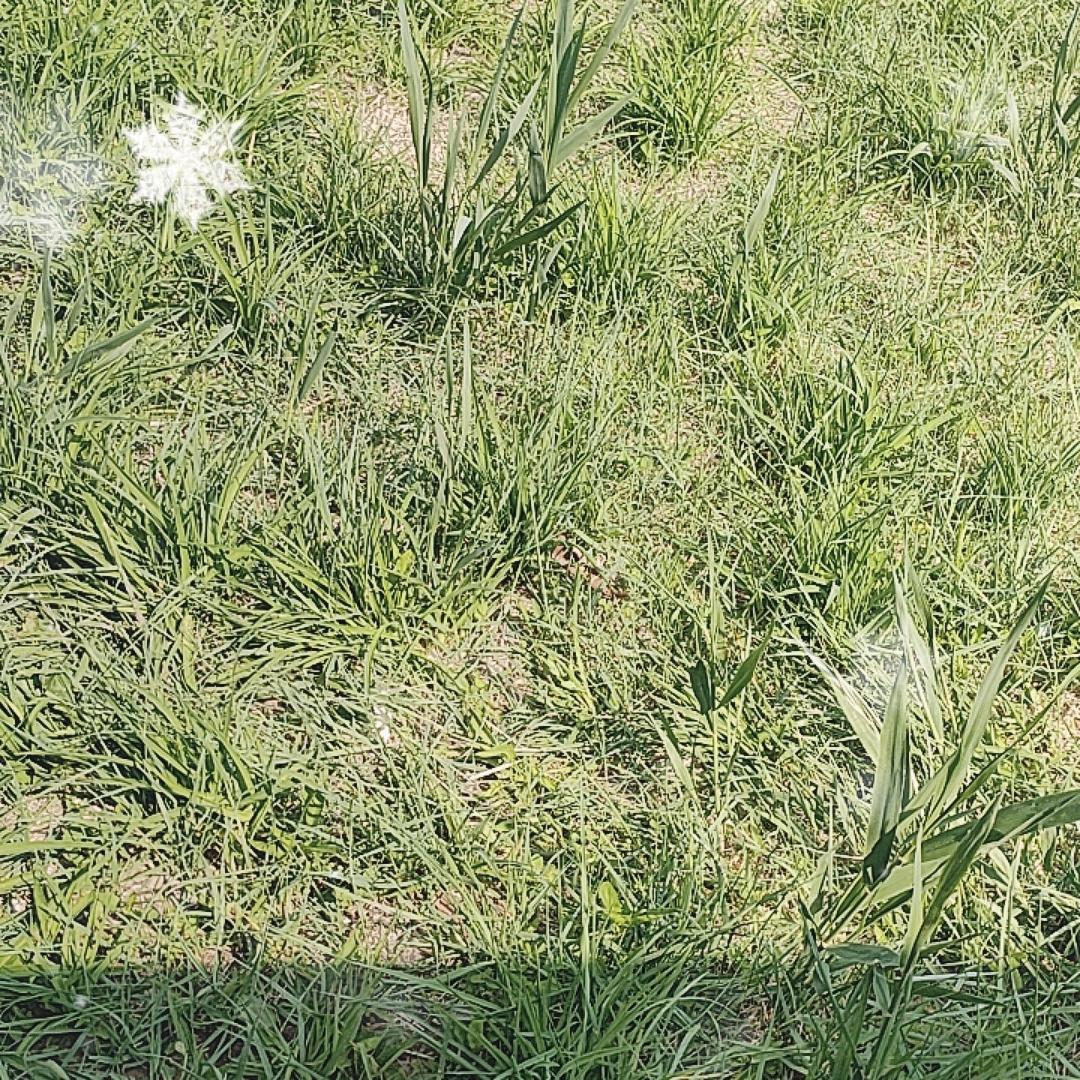 阿米拉玉苏甫教育创意屋