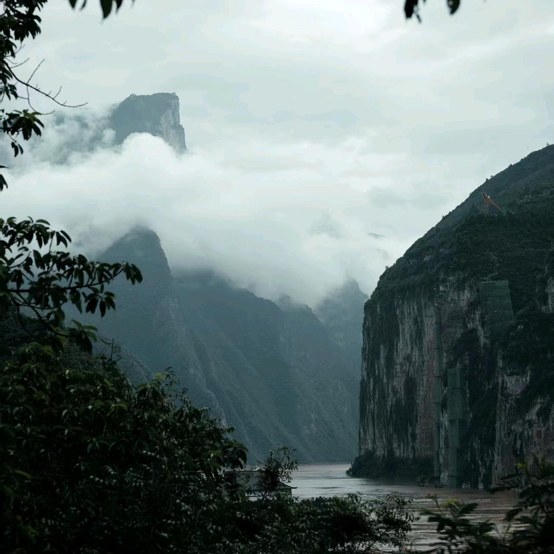起风了头像