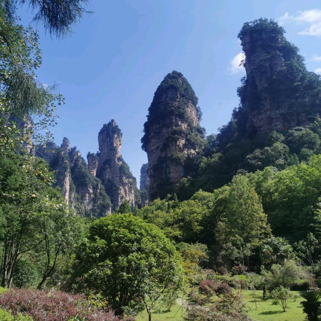 香水有毒