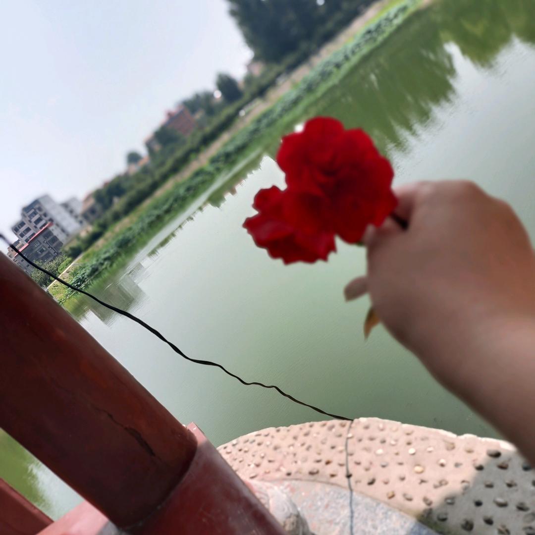 花大姐好房优选