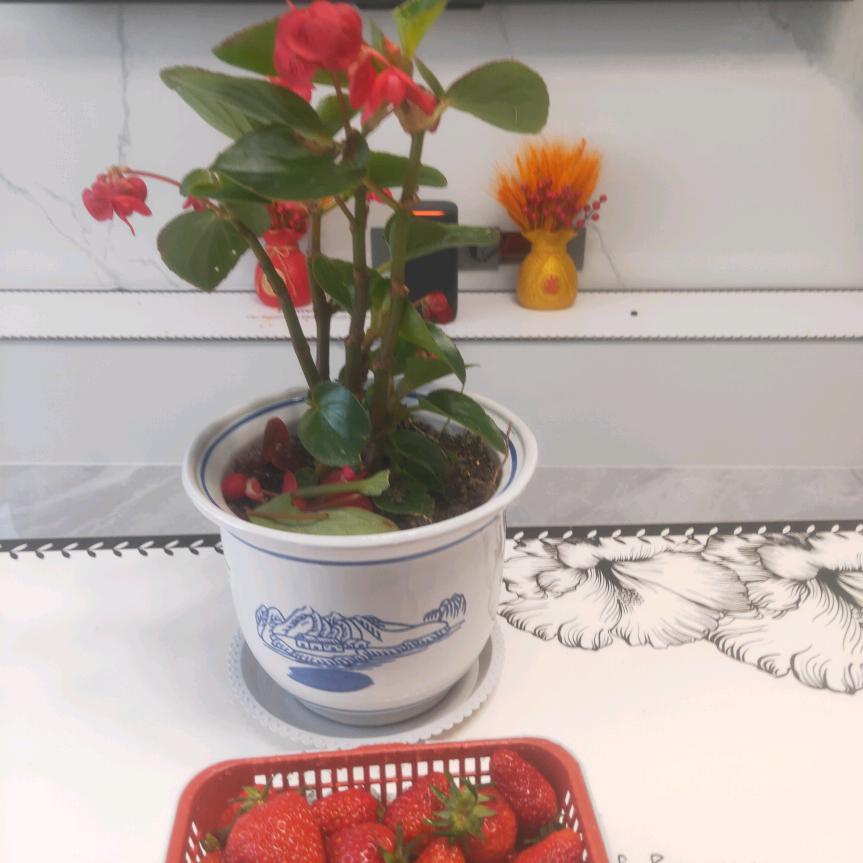 挚爱