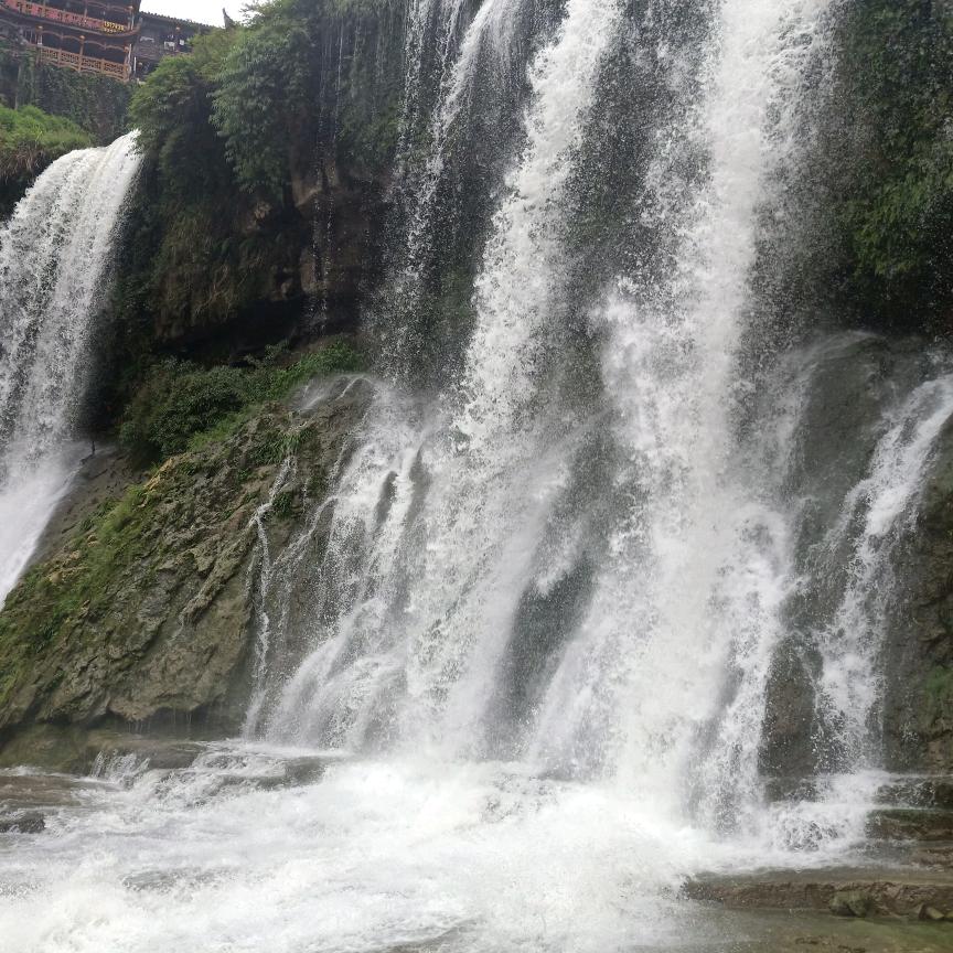 ┻┻︵༎懒羊羊༎︵┻┻