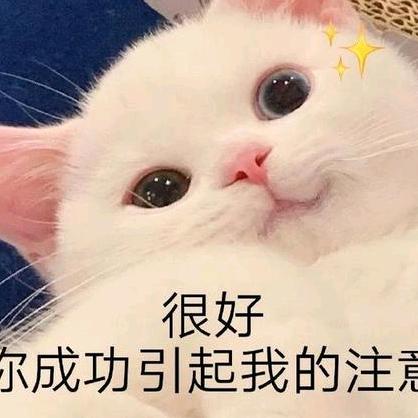 苏州邦辉人力资源有限公司