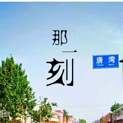 悠悠唐湾情