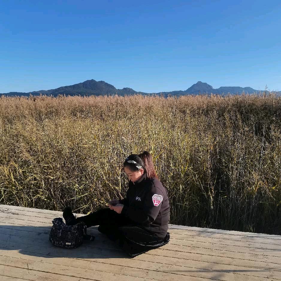 丽萍(不要连赞,谢谢!)