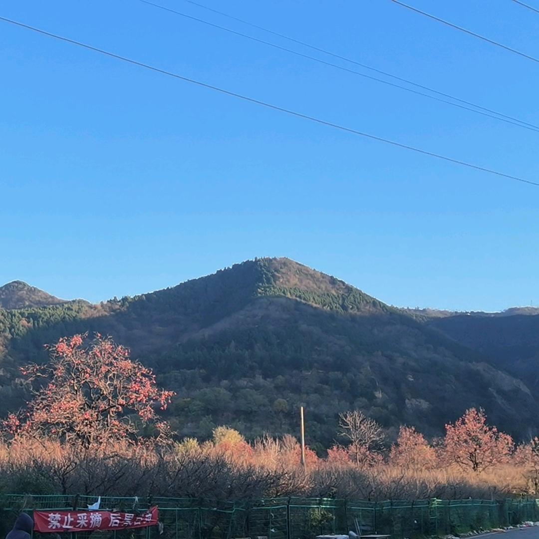 用户99660523