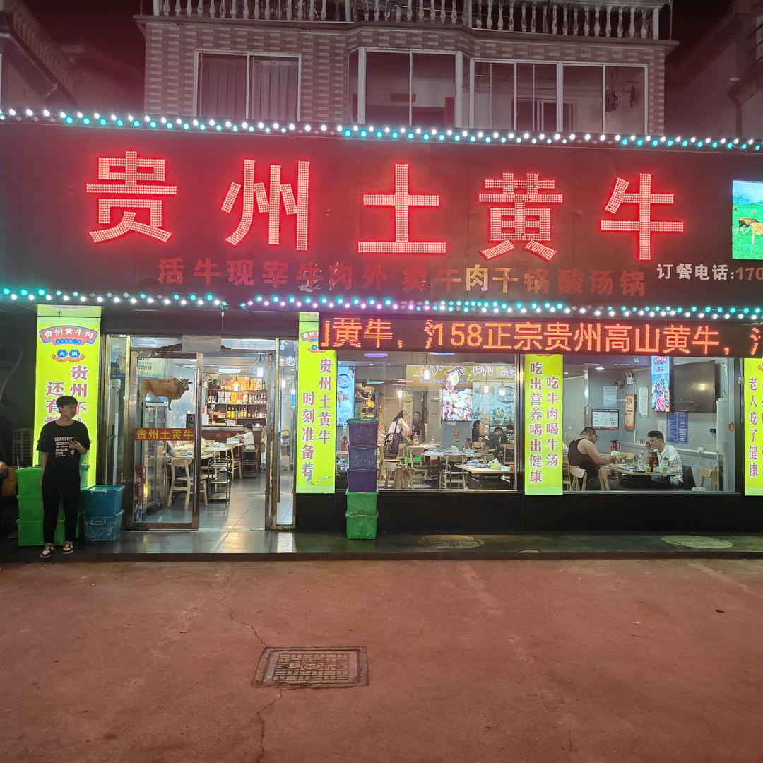 吴江贵州土黄牛小敖