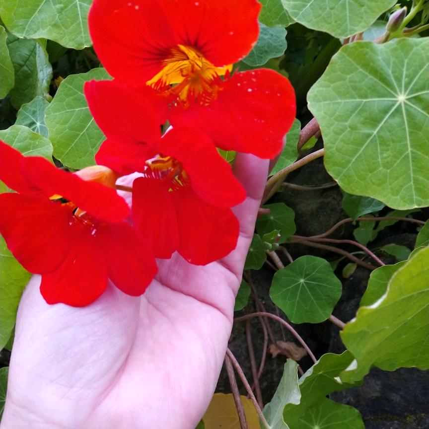 ❤️₍˄·͈༝·͈˄*₎想(๑♡事（＾陈