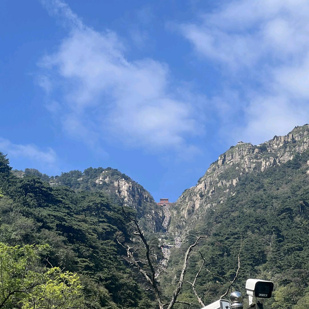 声动影音专营店授权