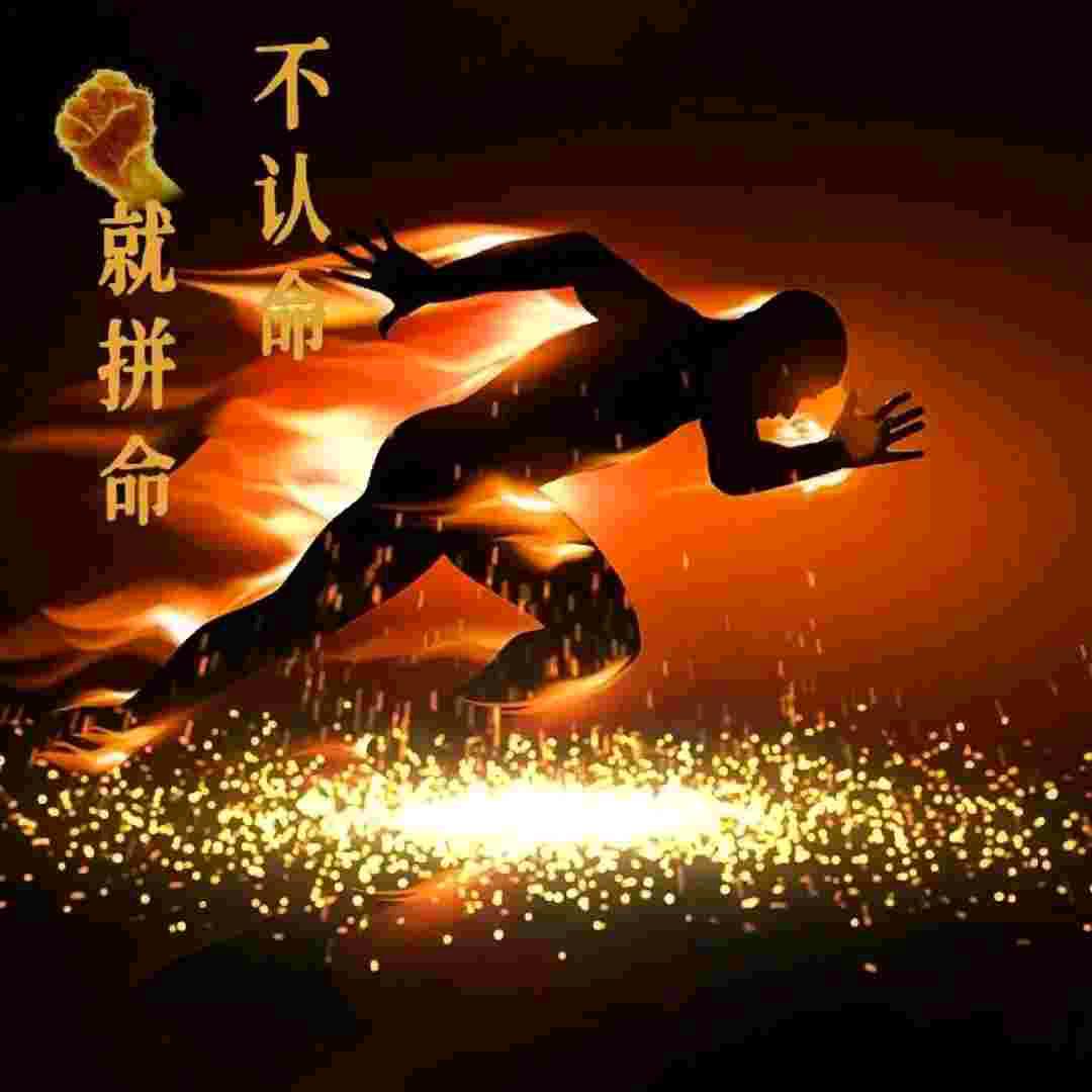 乘风破浪向阳而生