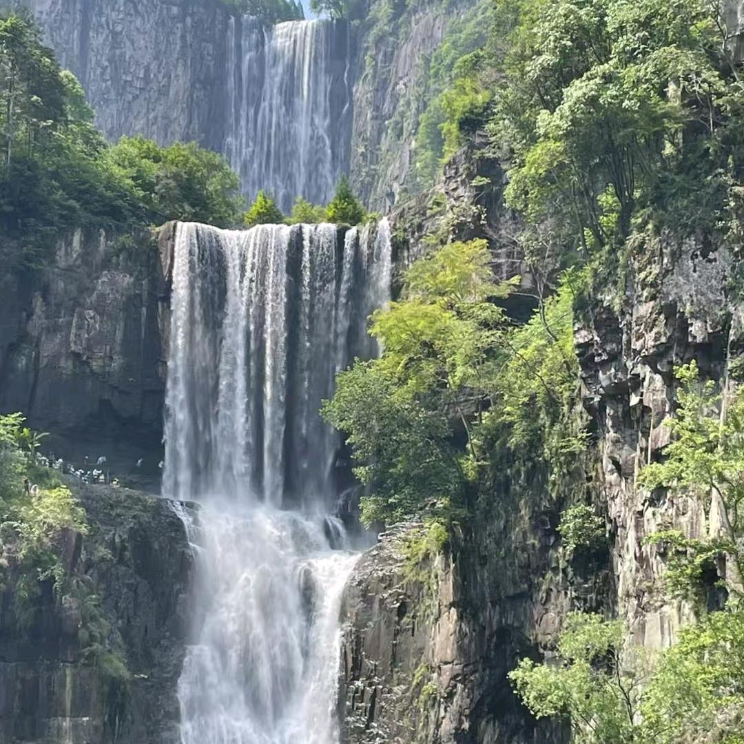 @來自南方的🐺