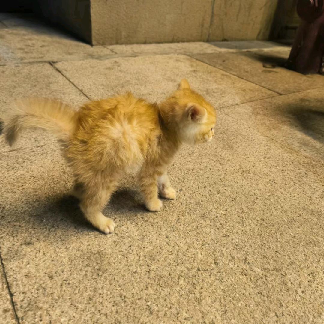 定风波