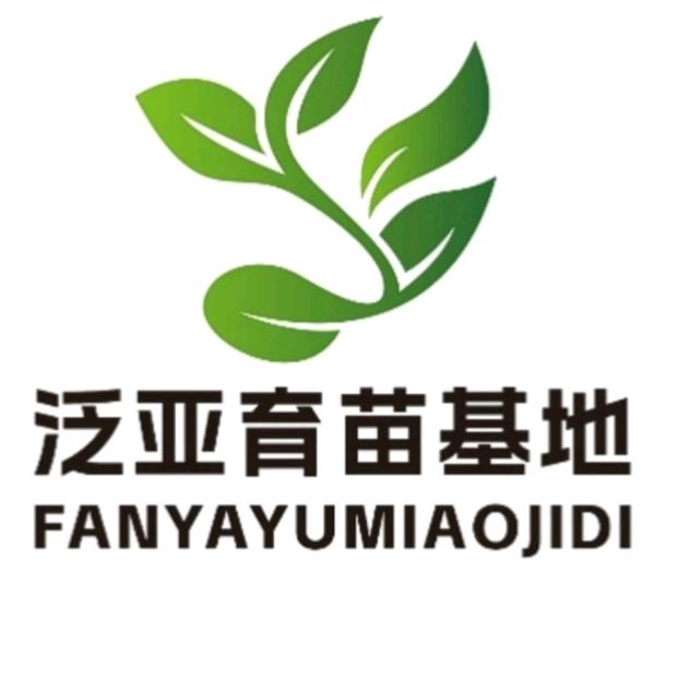 云南泛亚育苗基地