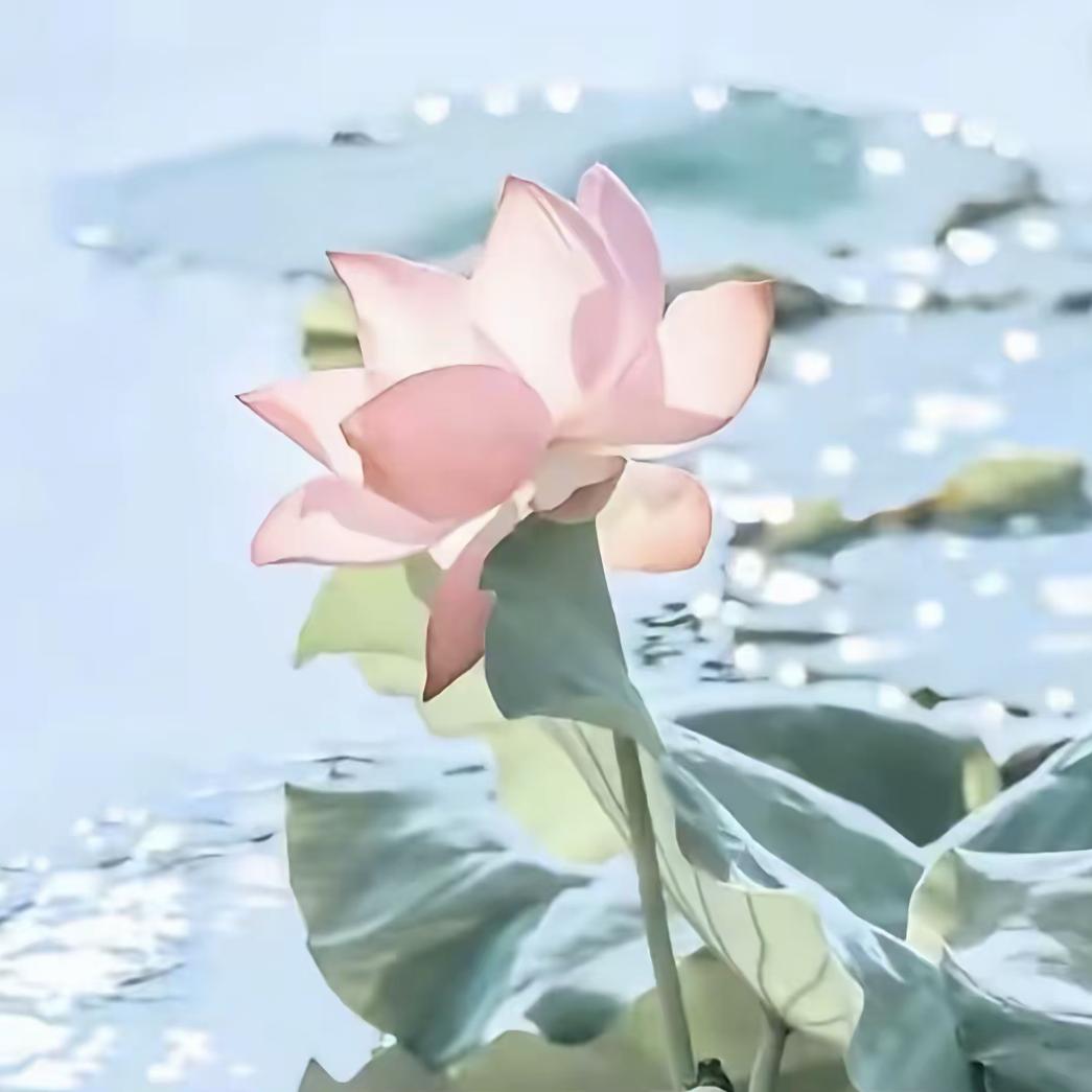 上善若水，芷岳曦伶
