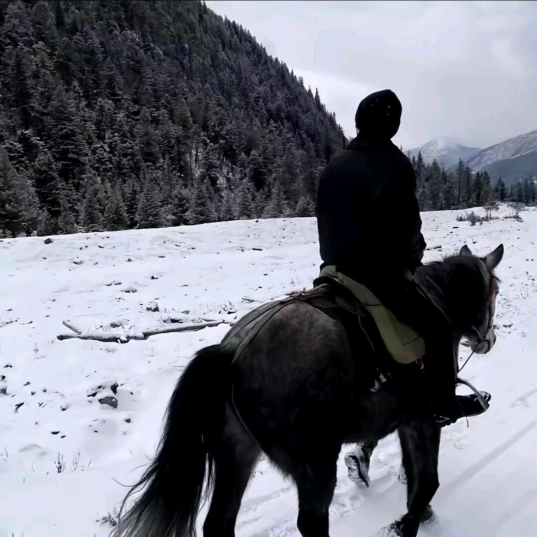 田一一