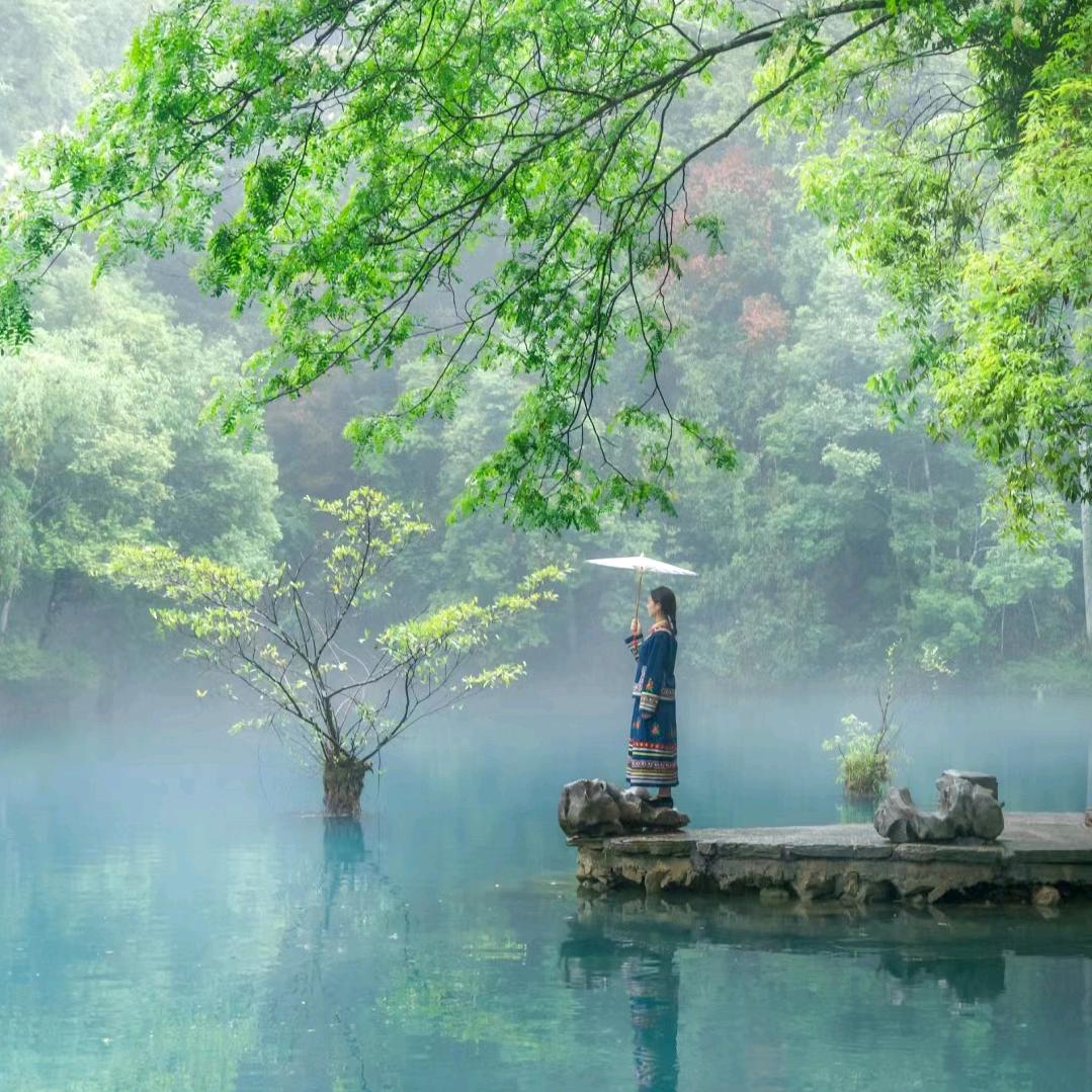 纯享贵州(贵州旅游直播)