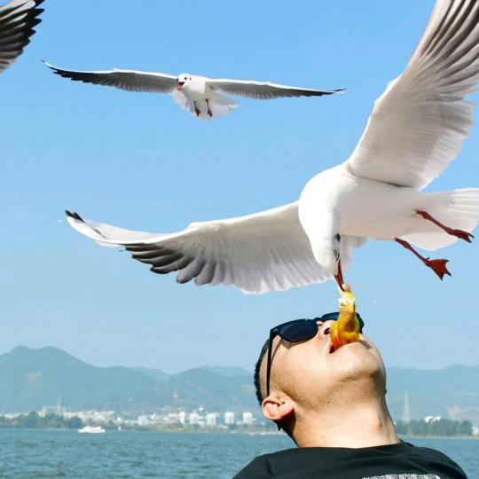 眼涙