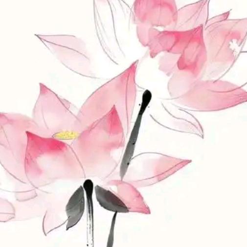 🧚‍♀️深情玫瑰🦋